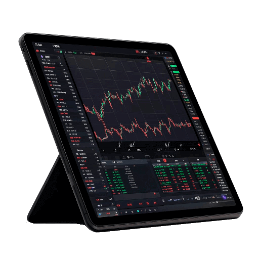 Clarior Fundalis 1 1